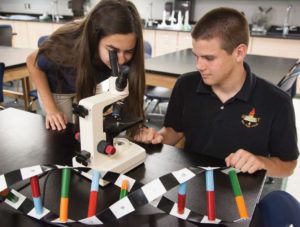 IB students at Mesa Academy for Advanced Studies work on a science project.